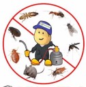 PestVeda - For All Round Pest Control Services